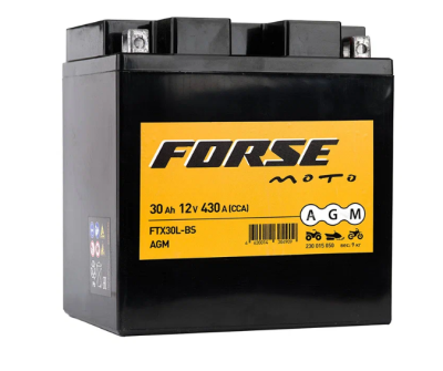   FORSE AGM 6 30 / FTX30L-BS (. 230015050 )