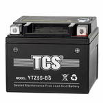   TCS 4 AGM (YTZ5S-BS)