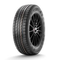 Легковая шина ДаблСтар  215/60/17  H 100 DS01