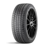 Легковая шина ДаблСтар  255/45/20  T 105 DW02