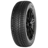 Легковая шина GRIPMAX SureGrip eWinter 215/40R17 87V XL BSW
