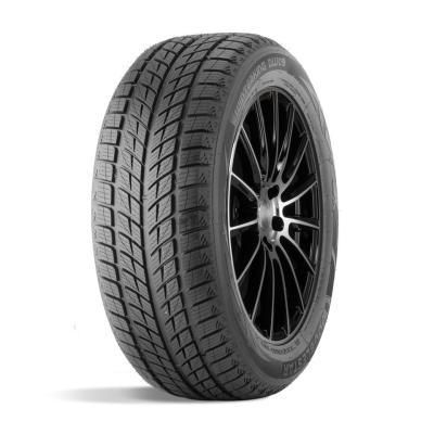 Легковая шина ДаблСтар  245/45/18  T 96 DW09