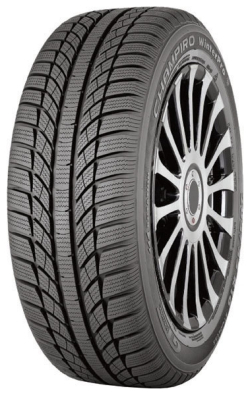 Легковая шина 205/55R16 CHAMPIRO WINTERPRO 91T GT Radial
