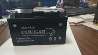    8  L+, COUGAR