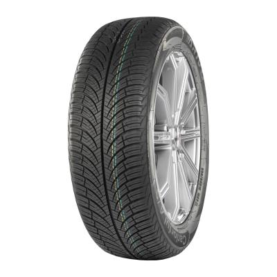 Легковая шина ARIVO Carlorful A/S 225/60R17 99H