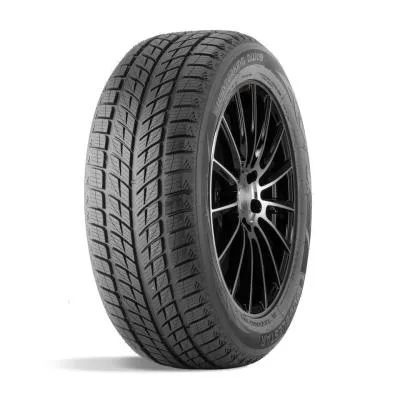 Легковая шина ДаблСтар  235/55/17  T 99 DW09