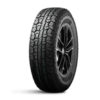 Легковая шина ДаблСтар  215/60/17  T 96 W01