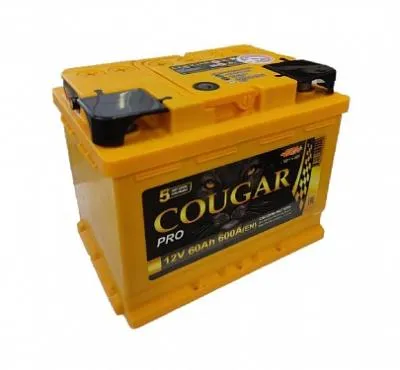 Аккумулятор 6СТ-60 А.ч., о.п., R+, COUGAR PRO Euro