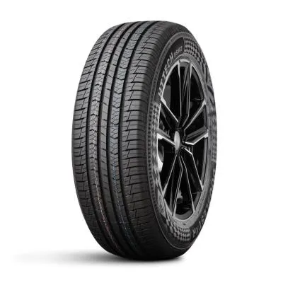 Легковая шина ДаблСтар  255/55/19  V 111 DSS02