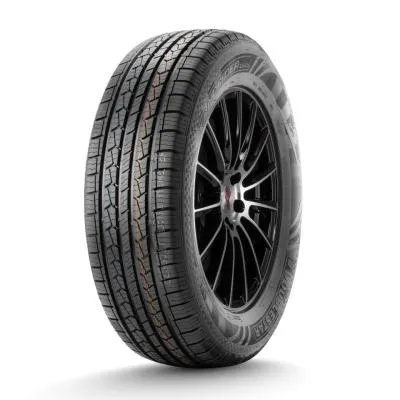 Легковая шина ДаблСтар  215/65/16  H 102 DS01